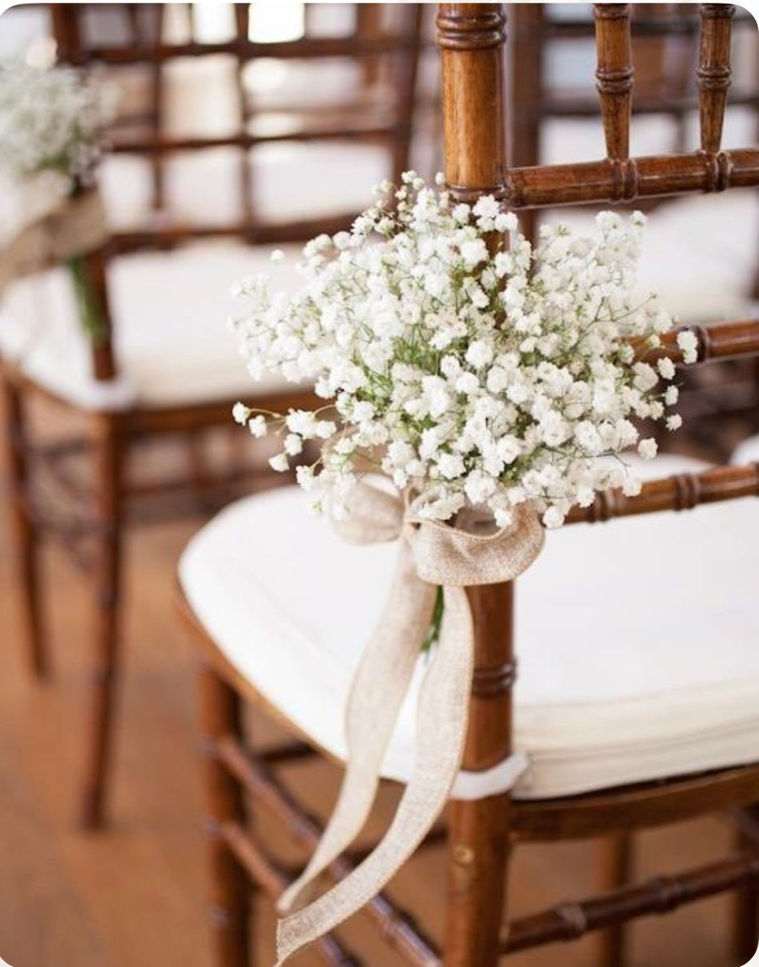 Aisle Chair Posy