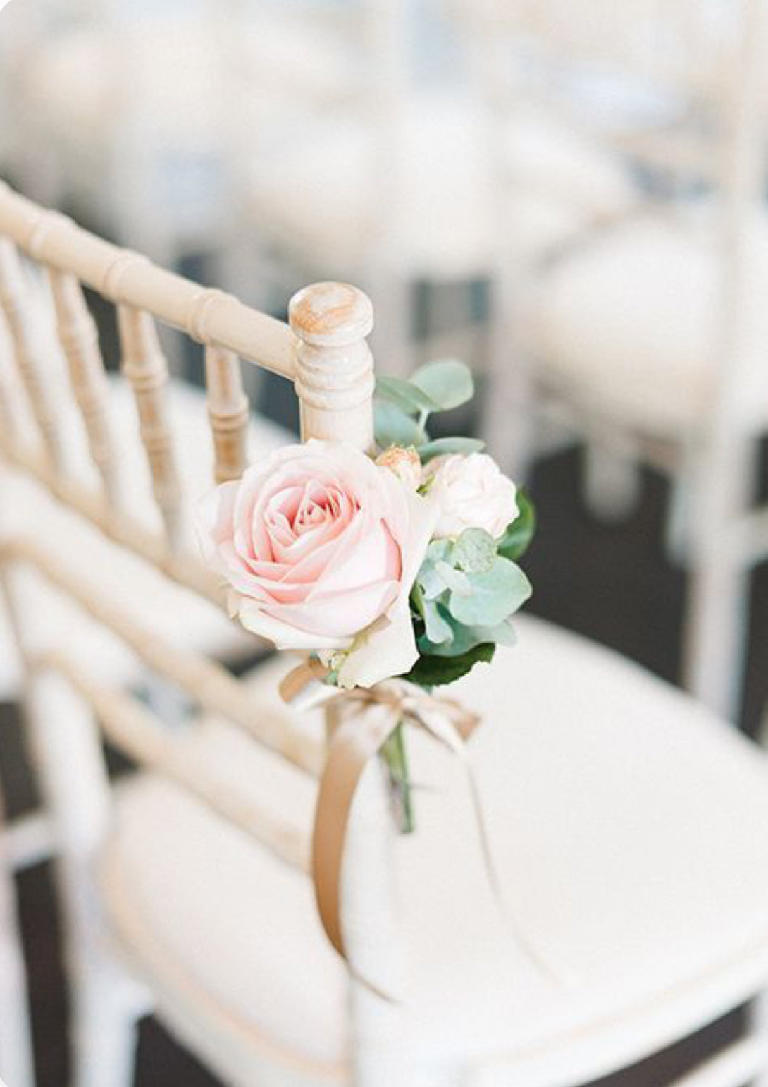 Aisle Chair Posy