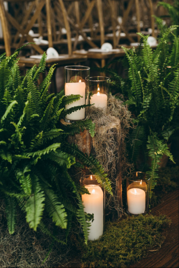 The Jasper Valley Ferns {Set of 12}