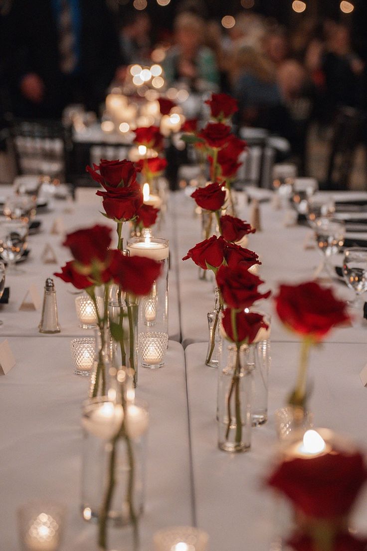 The True North Bud Vases {SET OF 12}
