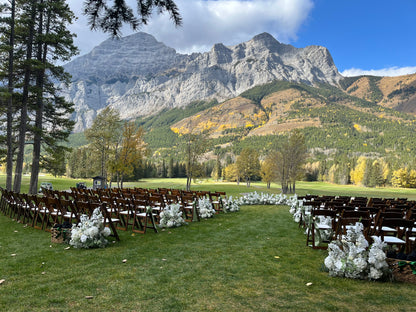 The Glacier Flower Grounded Arch