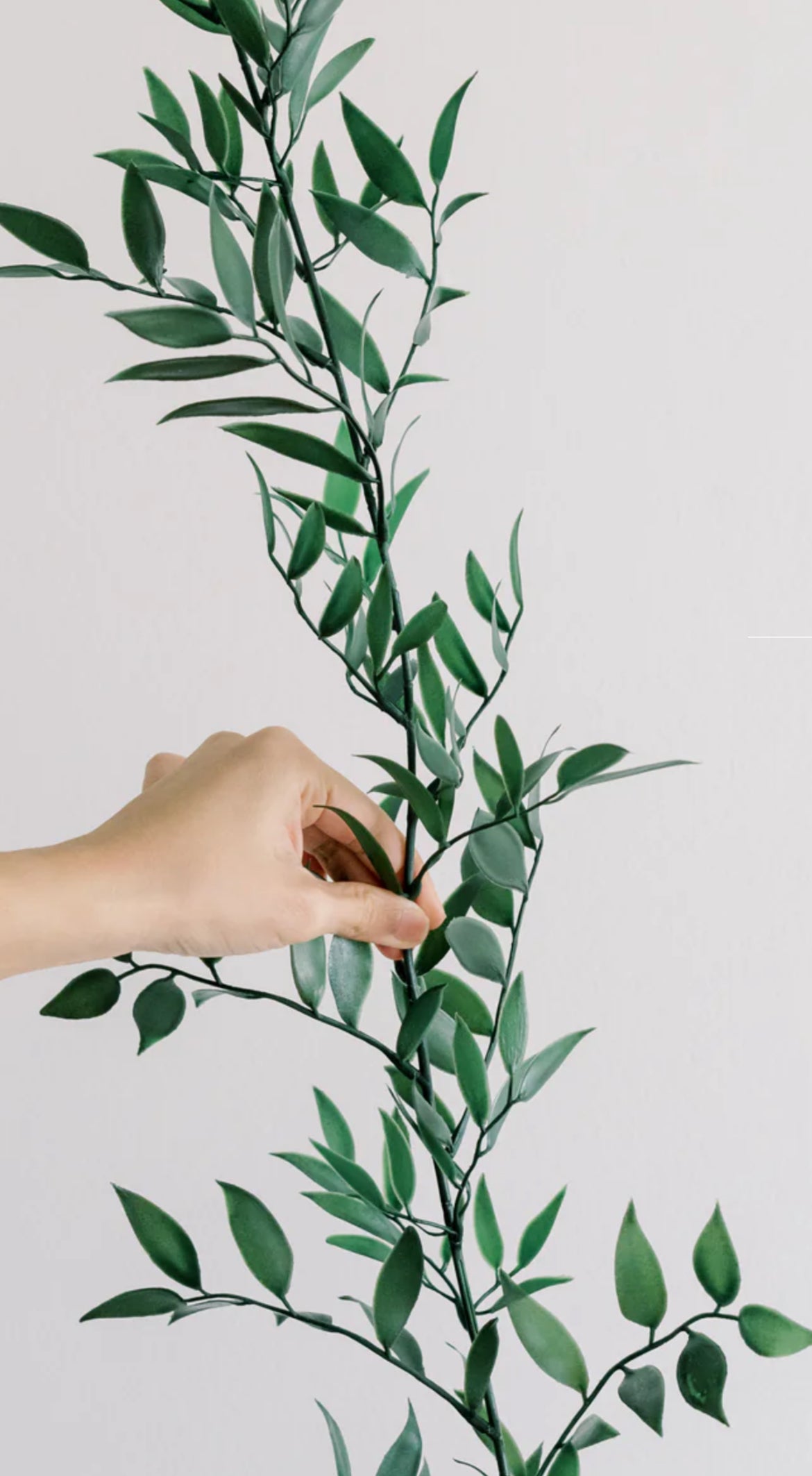 Italian Ruscus Table Greenery – Inhale Floral Rentals