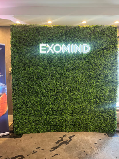 The Jasper Valley Wall